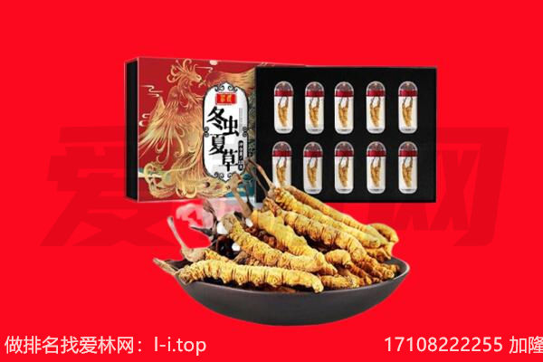 东莞长安镇回收虫草.jpg